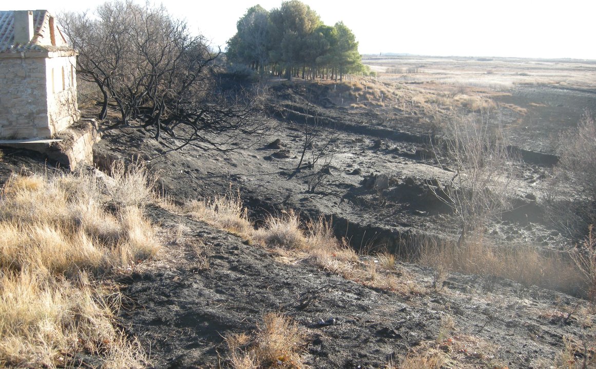 Zona afectada por los incendios en El Pulguer