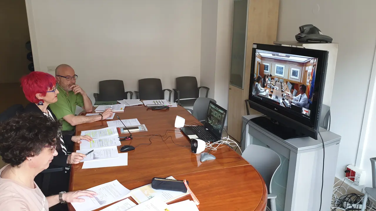 La consejera de Salud, Santos Indur&aacute;in, junto a responsables de su Departamento en la videoconferencia con el ministro Salvador Illa