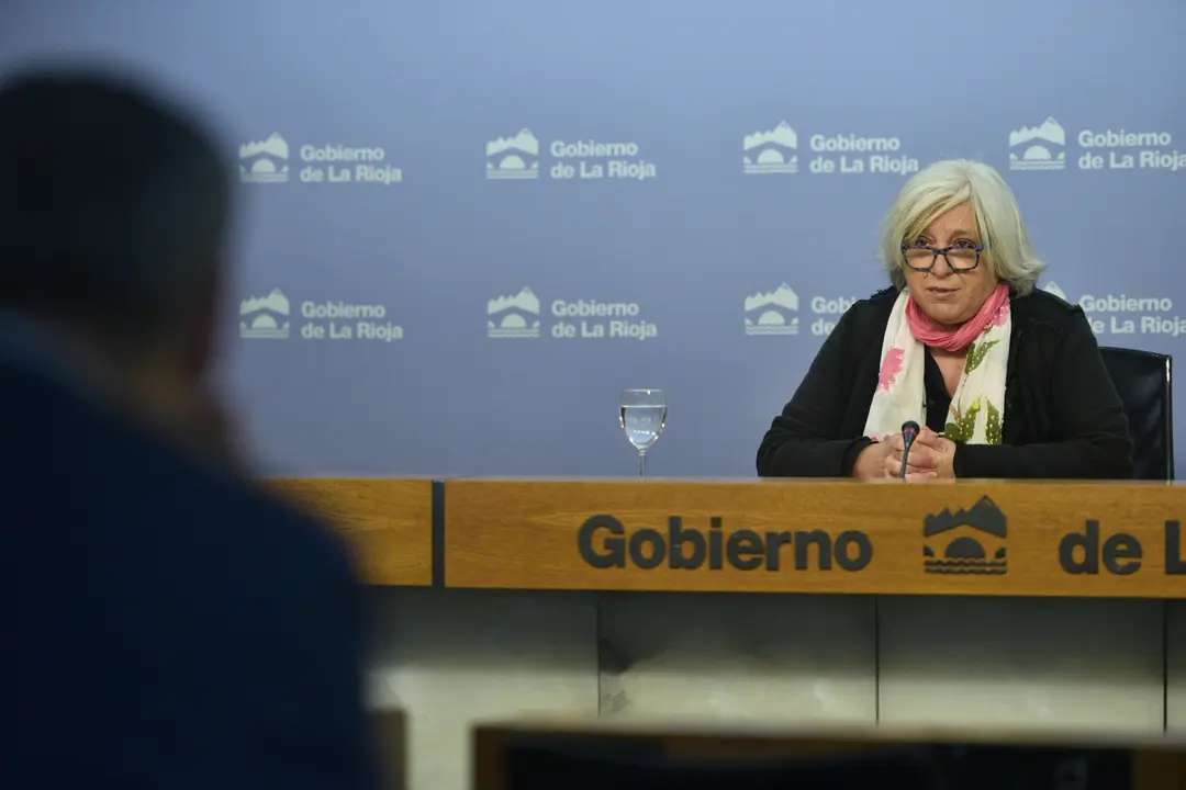 La directora general de Cultura, Ana Zabalegui, presenta las novedades de la Fase 1 para la Cultura riojana y las l&iacute;neas estrat&eacute;gicas de la Consejer&iacute;a en apoyo al sector durante la crisis del coronavirus