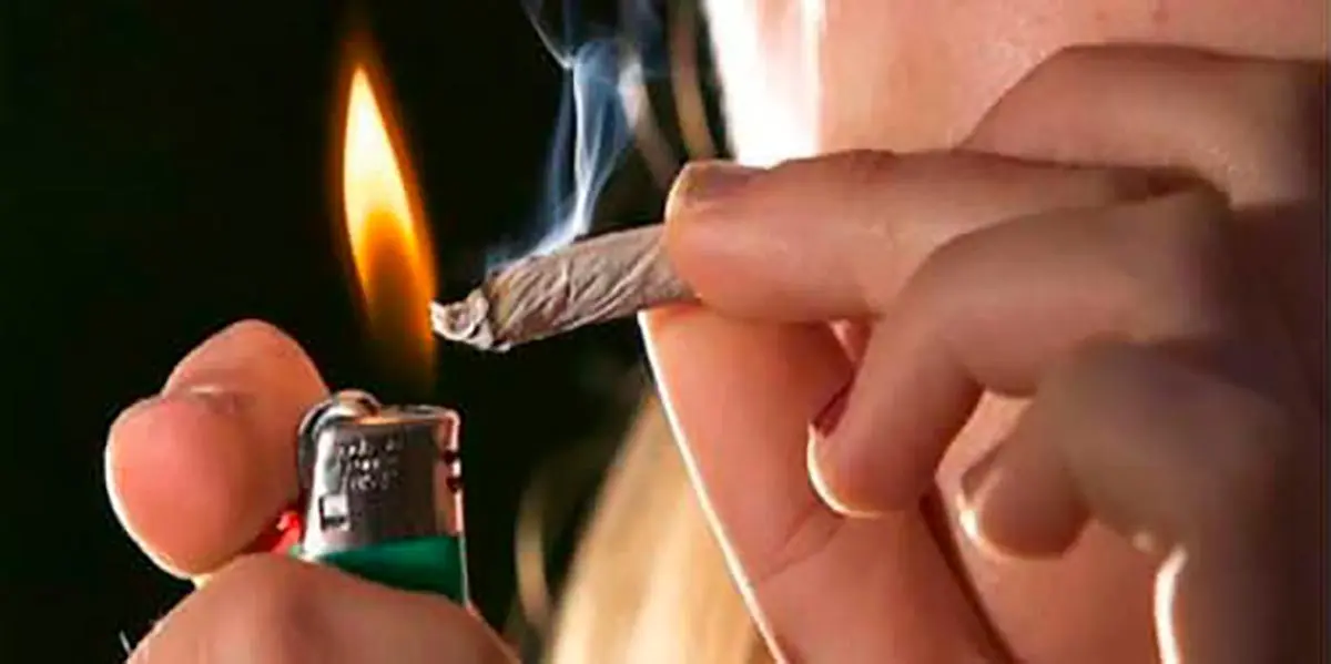 Droga porro marihuana costo hach&iacute;s