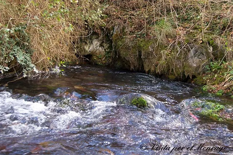 Nacedero r&iacute;o Queiles