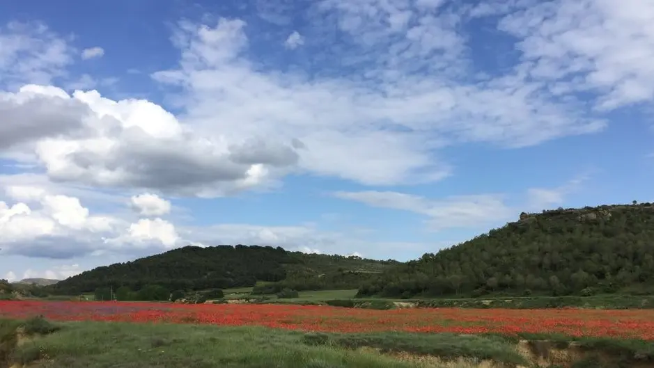 La Comarca de las Cinco Villas tiene puestas las vistas en el periodo vacacional para que, tanto turistas como vecinos, convivan con las medidas de sanidad impuestas