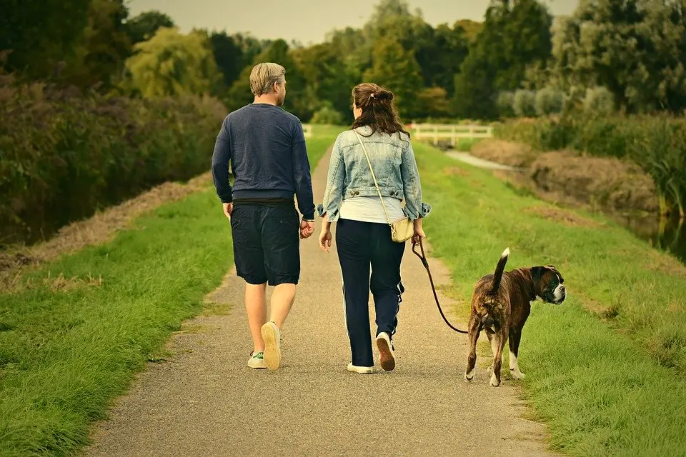 paseo pasear perro andar