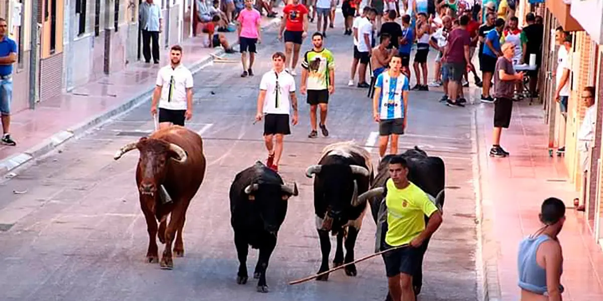 Encierro de la ganader&iacute;a Hermanos Gracia Blasco de Fusti&ntilde;ana 1163