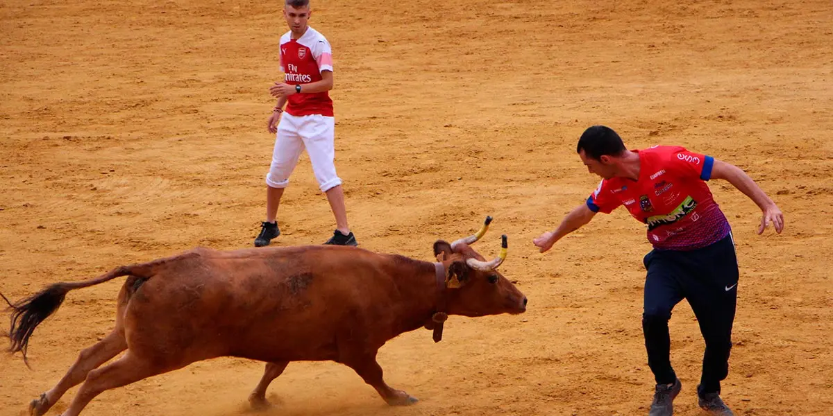 Sergio Garc&iacute;a P&eacute;rez de Arrilucea haciendo un recorte en Fiestas de Tudela 2019 1163