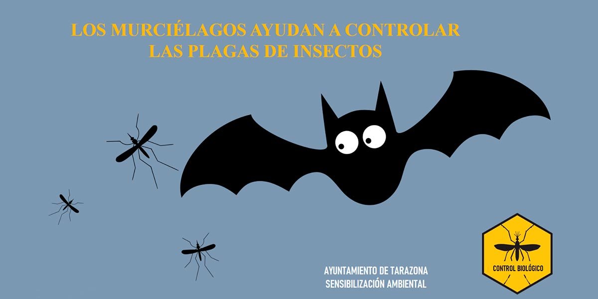 Los murciélagos ayundan a controlar las plagas de insectos