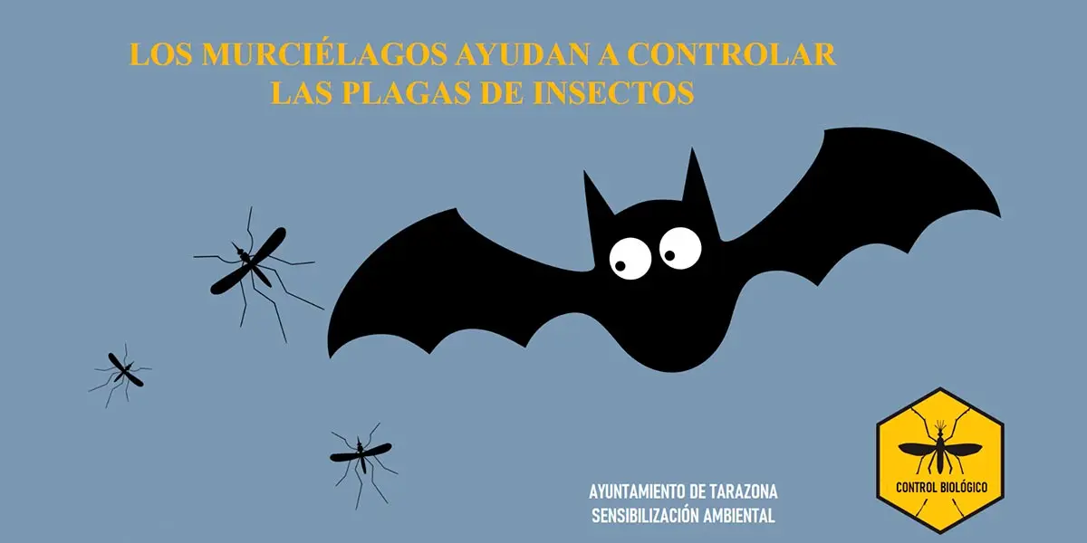 Los murci&eacute;lagos ayundan a controlar las plagas de insectos