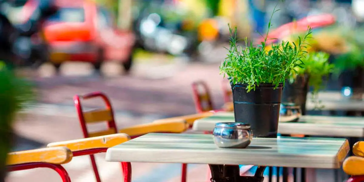 terraza terracita bares hosteler&iacute;a caf&eacute; bar terraceo