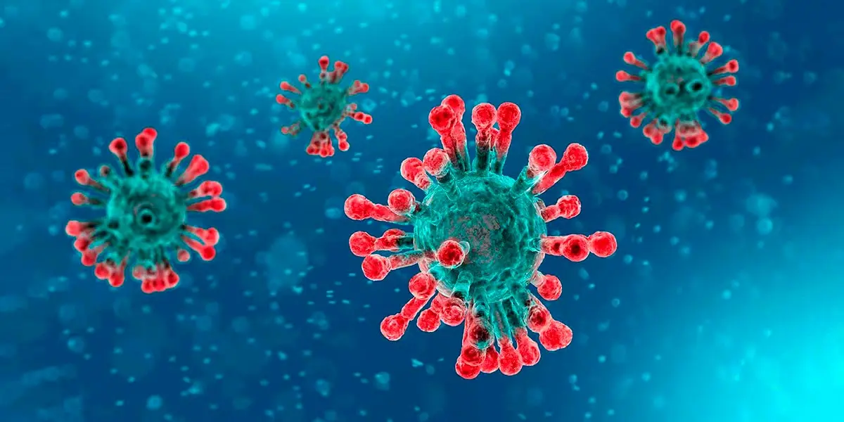 coronavirus covid-19 2