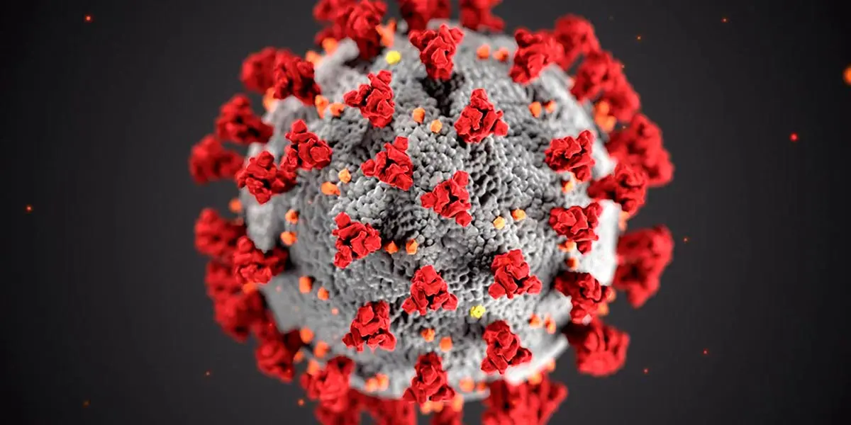 coronavirus covid-19 4