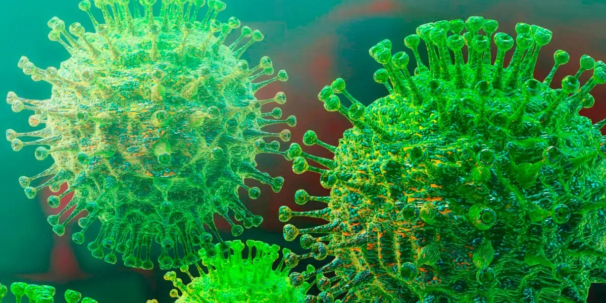 coronavirus covid-19 3