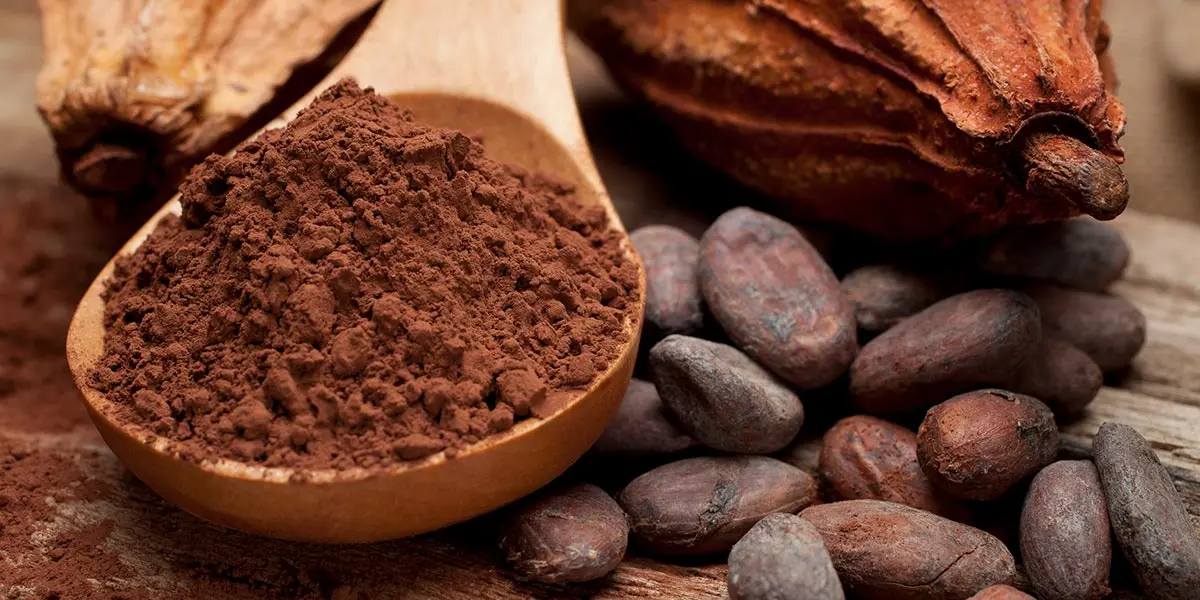 S&oacute;lo el cacao natural mantiene el 100% de las propiedades antioxidantes, que ejercen beneficios para la salud