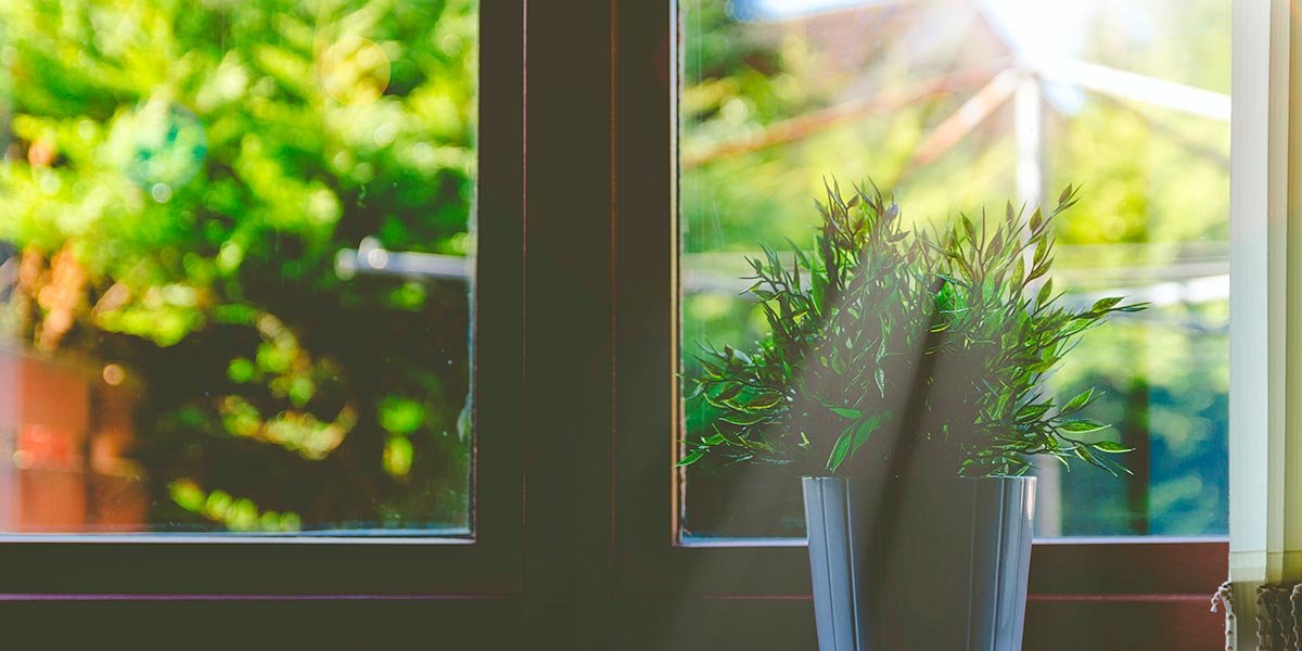 hogar planta ventana casa sostenible sostenibilidad luz naturaleza