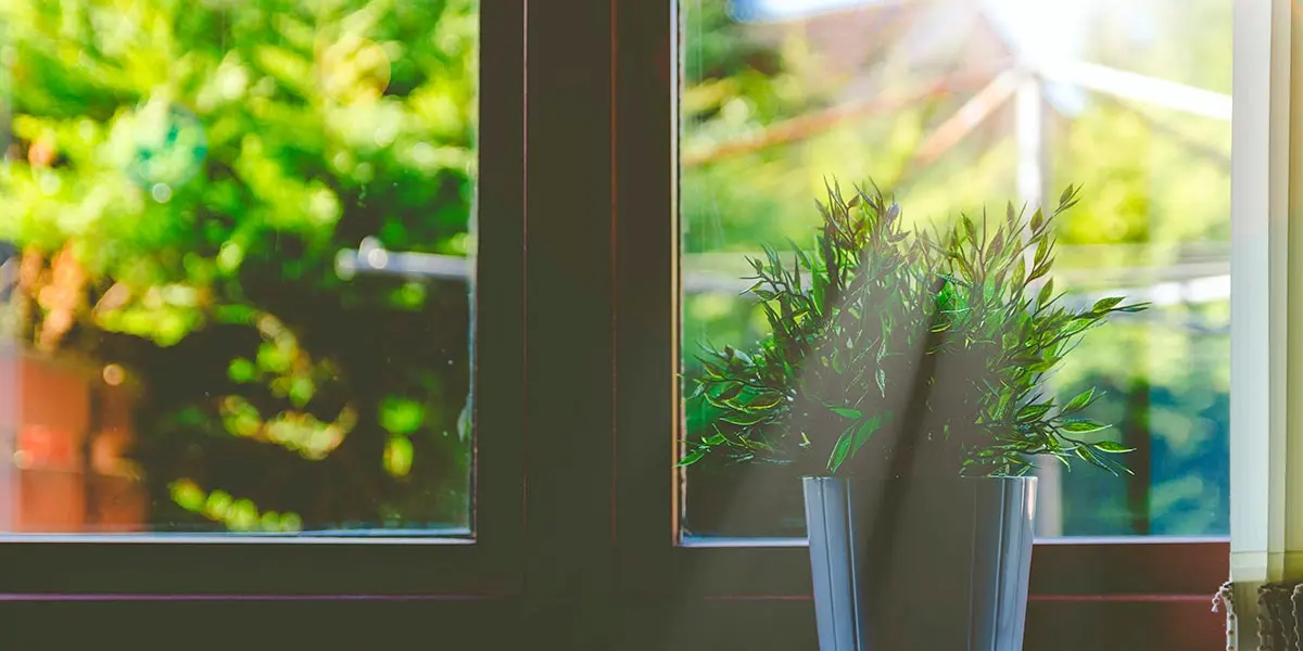 hogar planta ventana casa sostenible sostenibilidad luz naturaleza