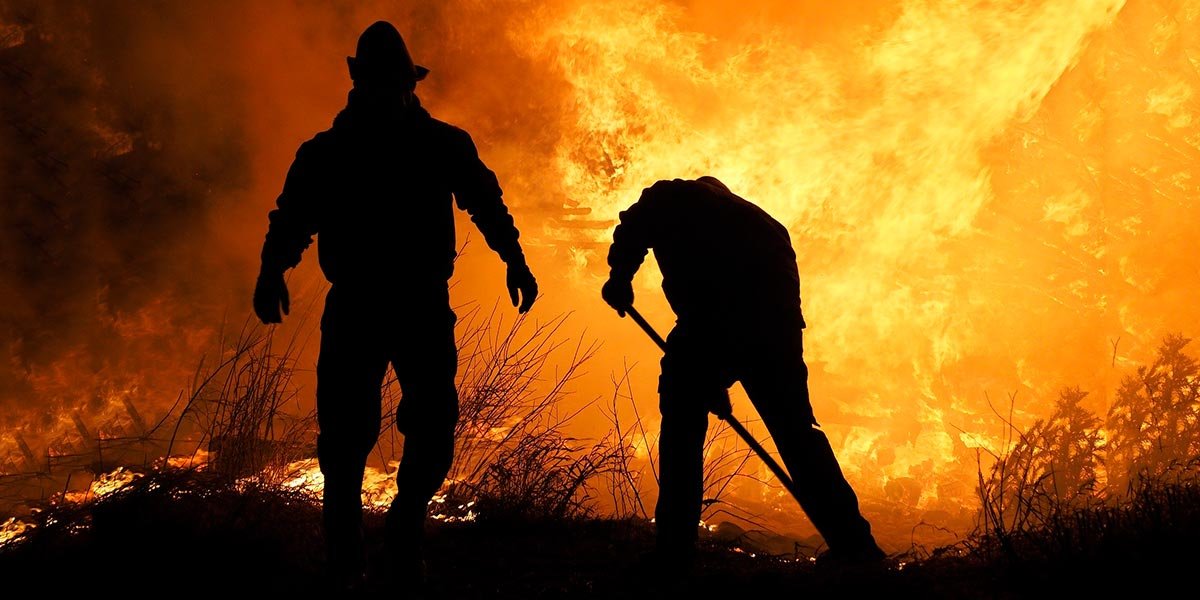 extinguir fuego incendio bosque arde bomberos llamas llamaradas ardiendo naturaleza