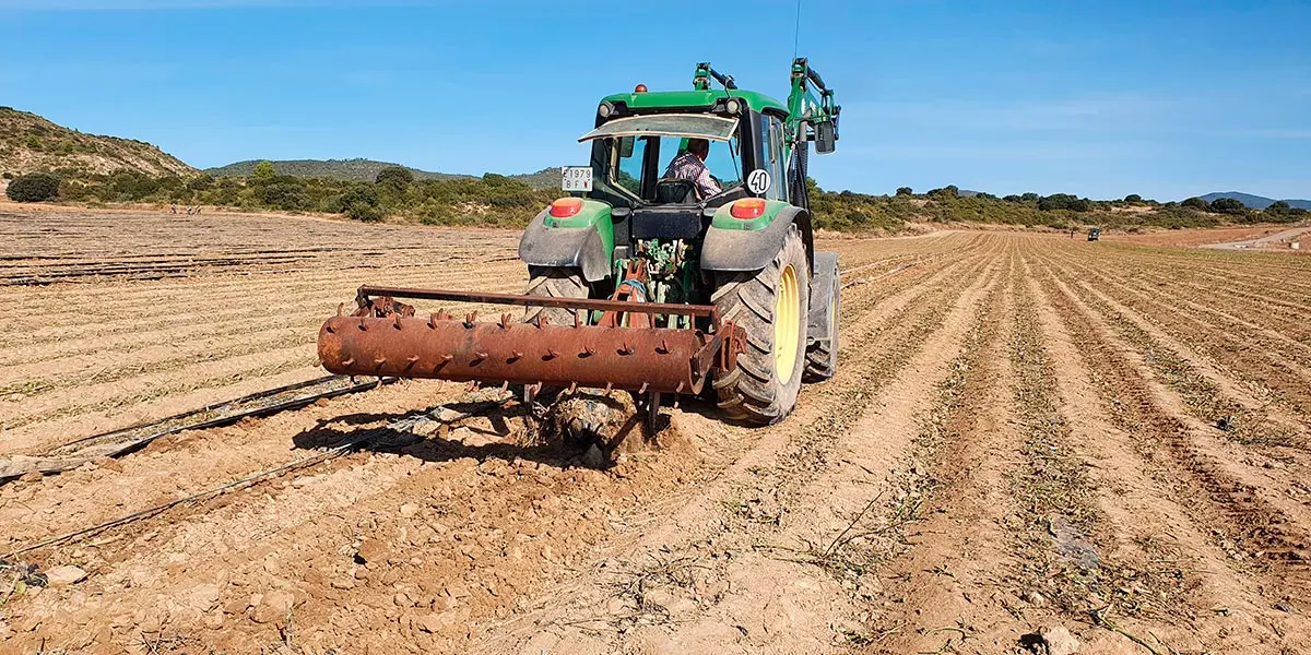 Primer ensayo piloto del proyecto Ecocirplas