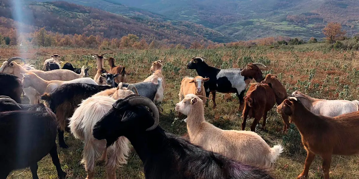 &Aacute;reas rurales de La Rioja
