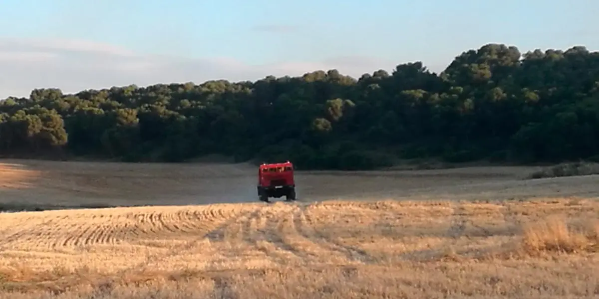Una zona de monte de la Bardena Baja de S&aacute;daba sufri&oacute; las consecuencias de un incendio este verano