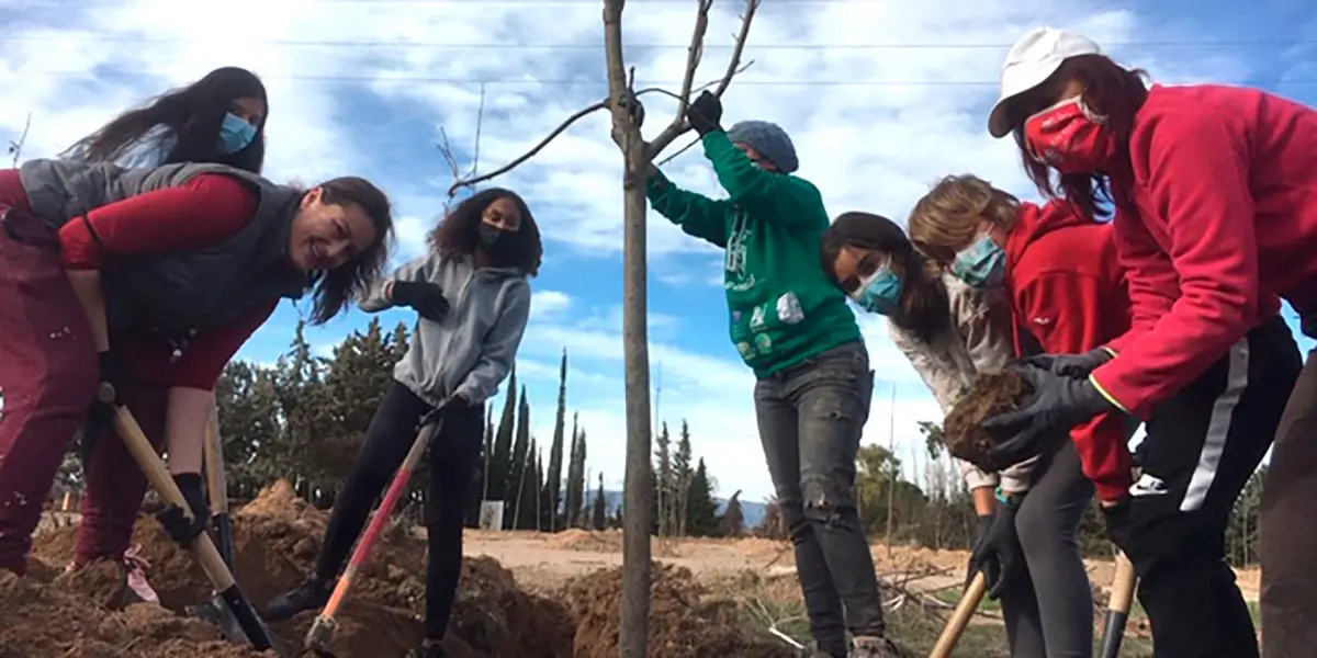 Nueva &aacute;rea arbolada en el Villar de Corella 2