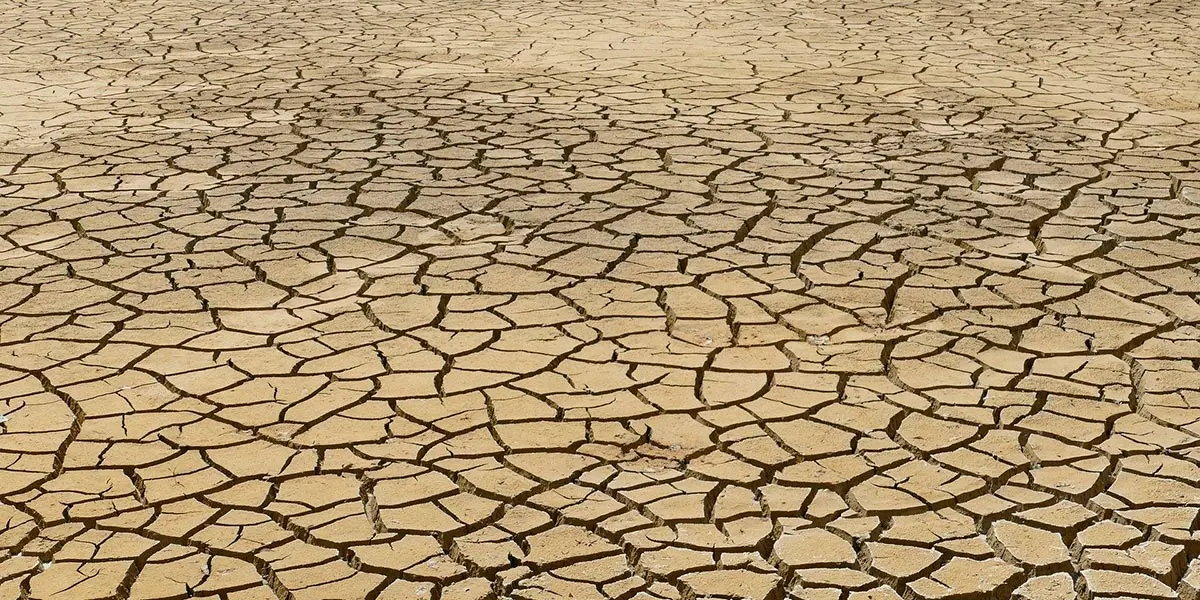 cambio clim&aacute;tico seco secarral tierra