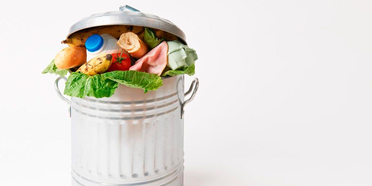 desperdicio alimentos basura malgastar comida