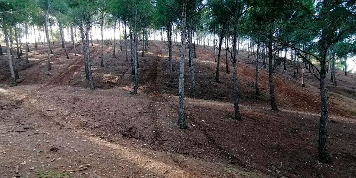 Santa Quiteria