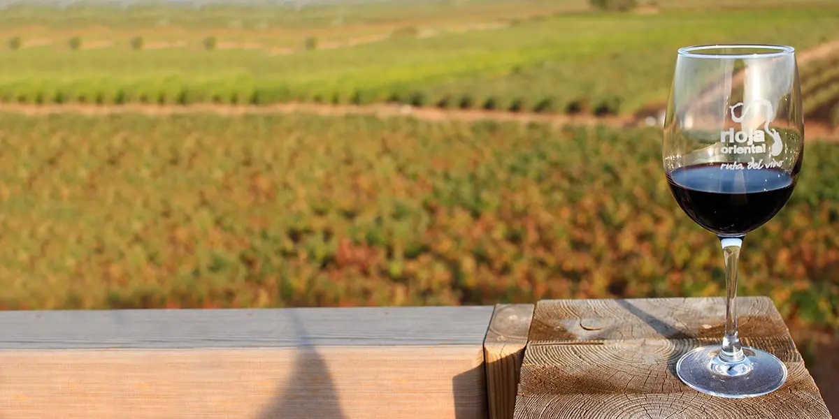 Copa de vino DOC Rioja