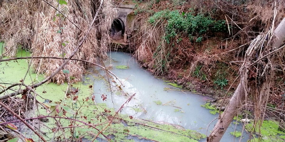 Vertido de aguas residuales al Alhama en Corella