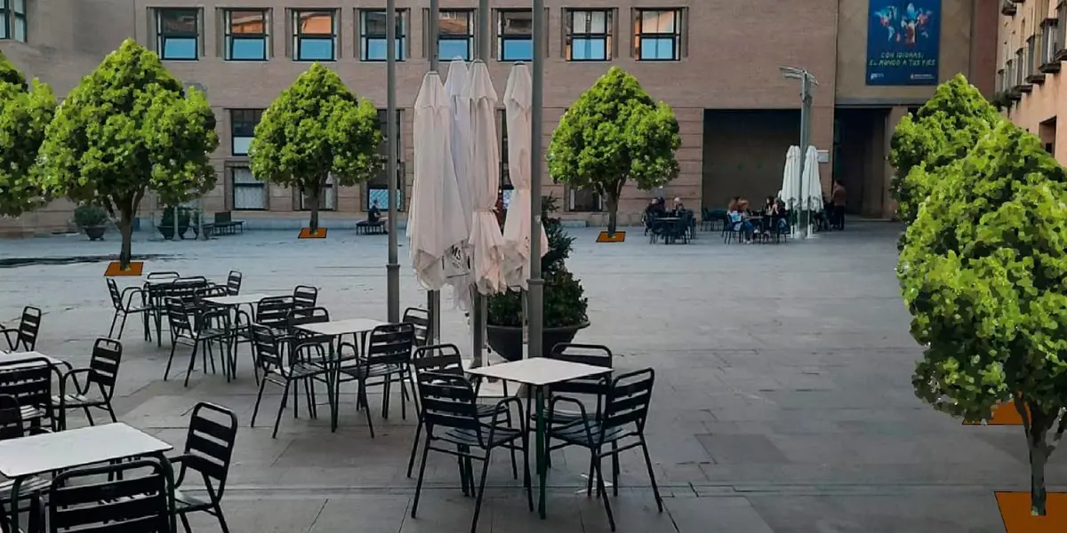 Fotografias arbolado plaza de la Juder&iacute;a 2