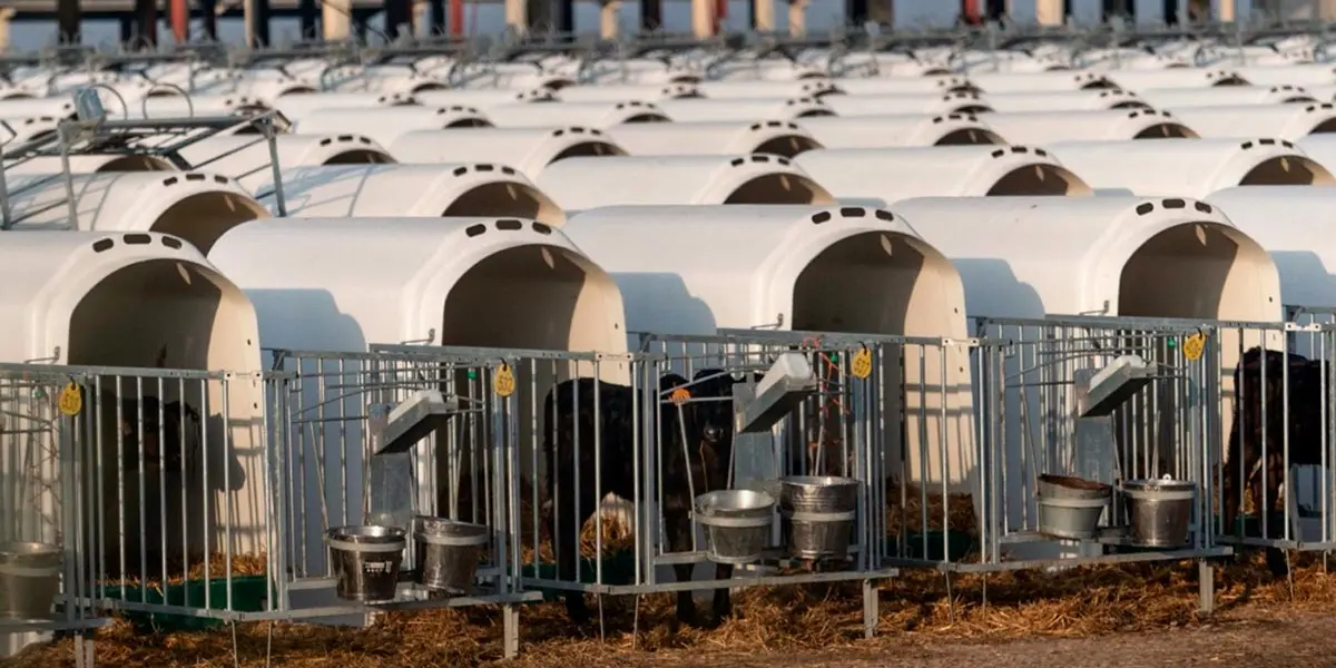 Se conf&iacute;a en que la modificaci&oacute;n de la ley de sanidad animal que estudia el Gobierno de Navarra ofrezca seguridad jur&iacute;dica ante estas grandes instalaciones