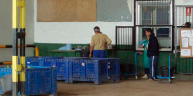 Trabajadores de la Cooperativa Agrícola San Blas de Ribaforada