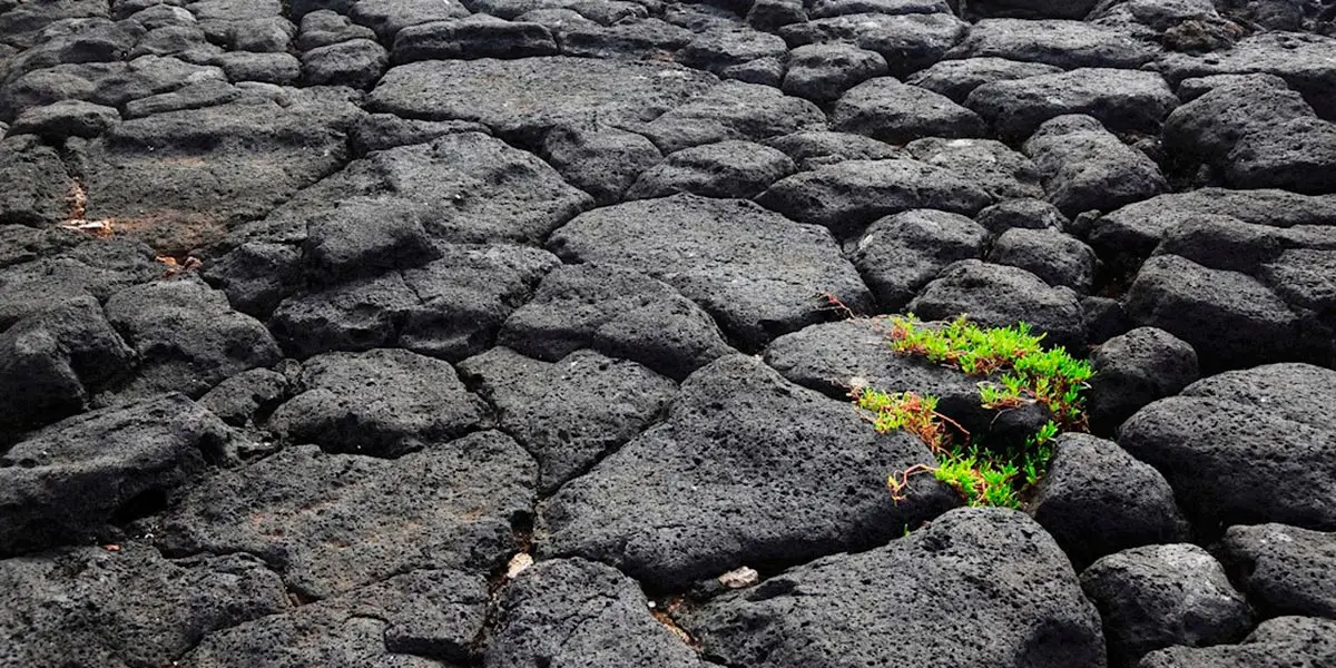 La roca y la civilizaci&oacute;n fueron hechas la una para la otra. ROCKWOOL aprovecha al m&aacute;ximo esta relaci&oacute;n para mejorar nuestra salud, bienestar y confort