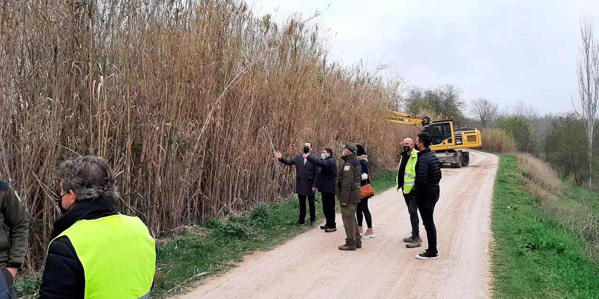 Eliminaci&oacute;n de flora invasora orilla Ebro 2
