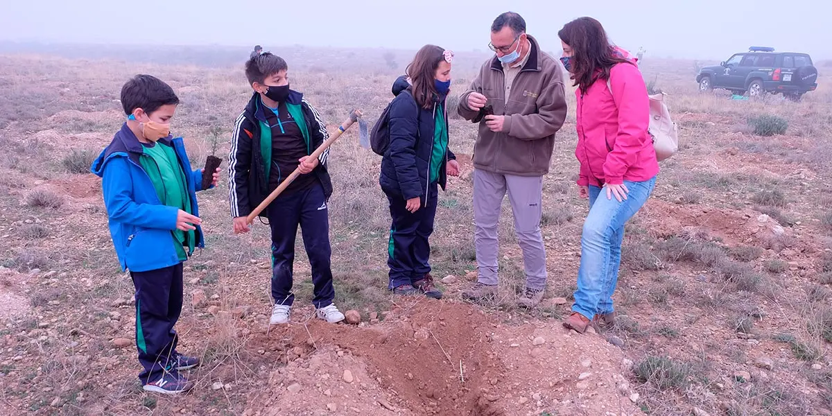 Escolares turiasonenses plantan 1.500 &aacute;rboles 4