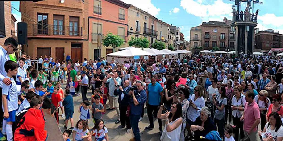 Aldeanueva de Ebro, Ciudad del Vino
