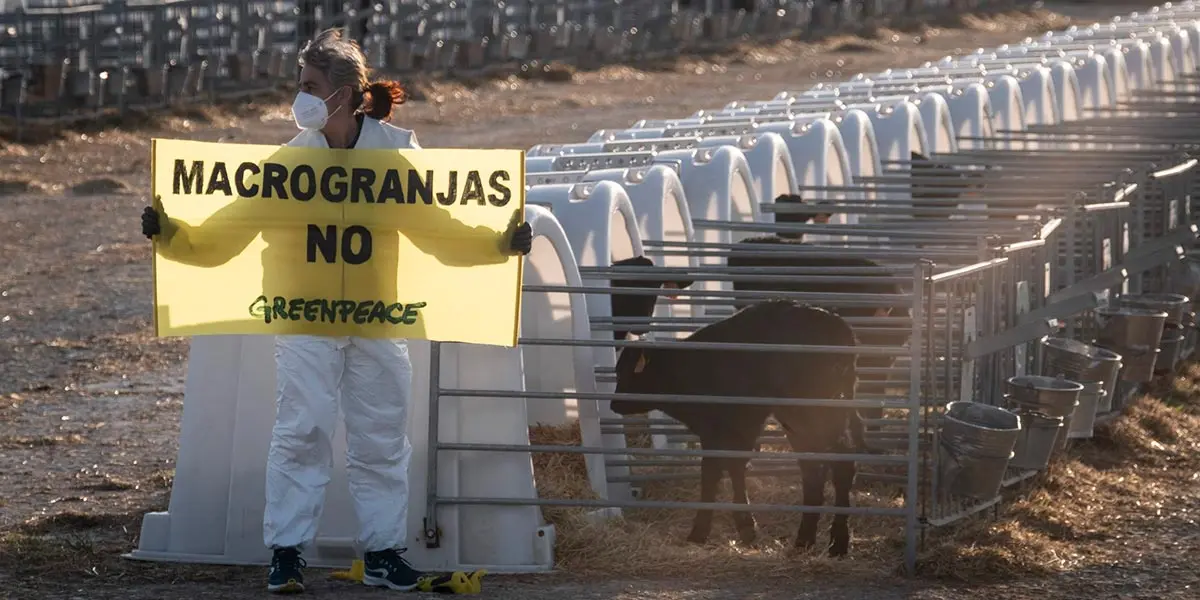 Greenpeace se desplaz&oacute; a Caparroso para denunciar c&oacute;mo la ganader&iacute;a industrial est&aacute; contaminando las aguas del medio rural