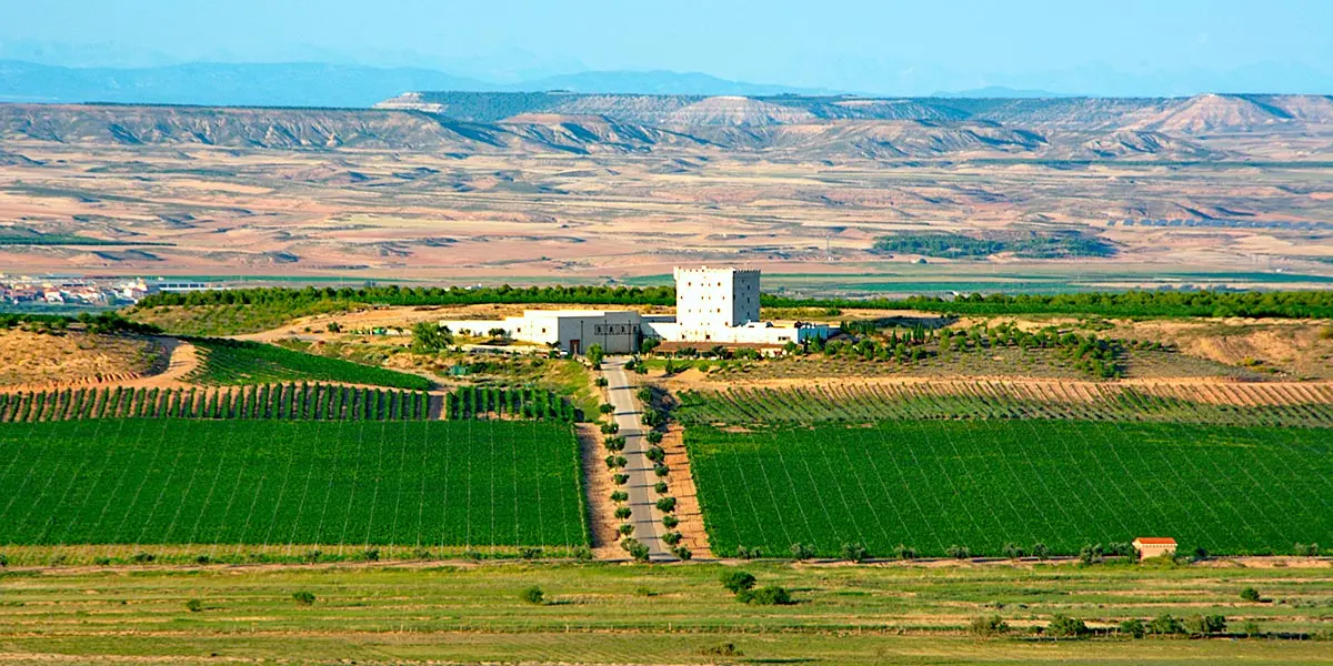 La Finca Bolandin posee 200 hect&aacute;reas totales donde se encuentra el Vi&ntilde;edo, la Bodega, el Hotel y el Restaurante de Pago de Cirsus