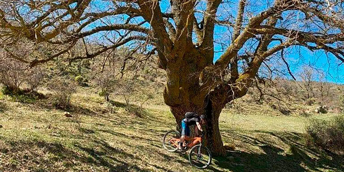 El chaparro de An&aacute;s, en Uncastillo, es uno de los lugares por los que pasa la nueva ruta enduro