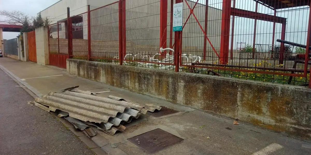 Placas de fibrocemento abandonadas junta a la cera de la nave municipal del pol&iacute;gono idustrial de Corella