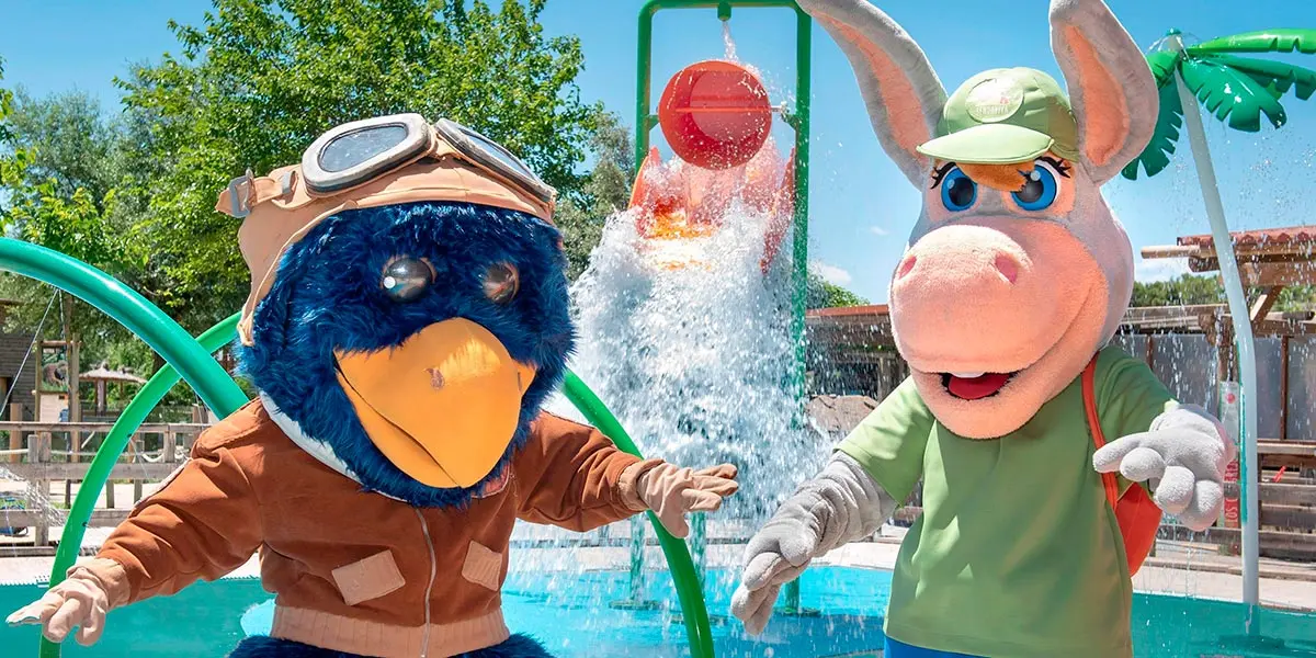 Splash