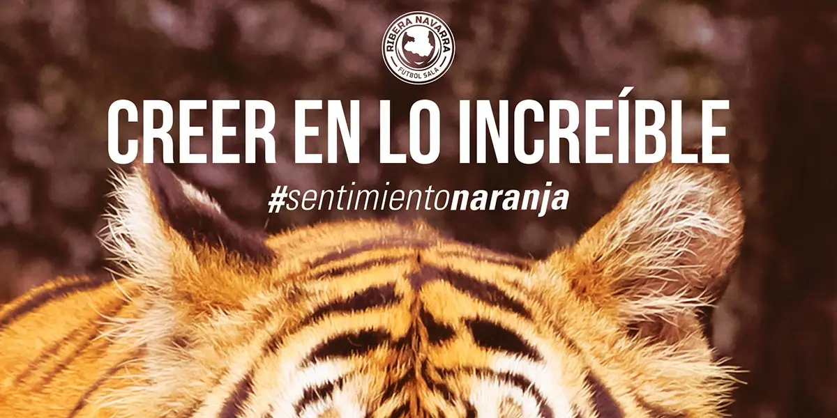 Navarra campa&ntilde;a abonados home