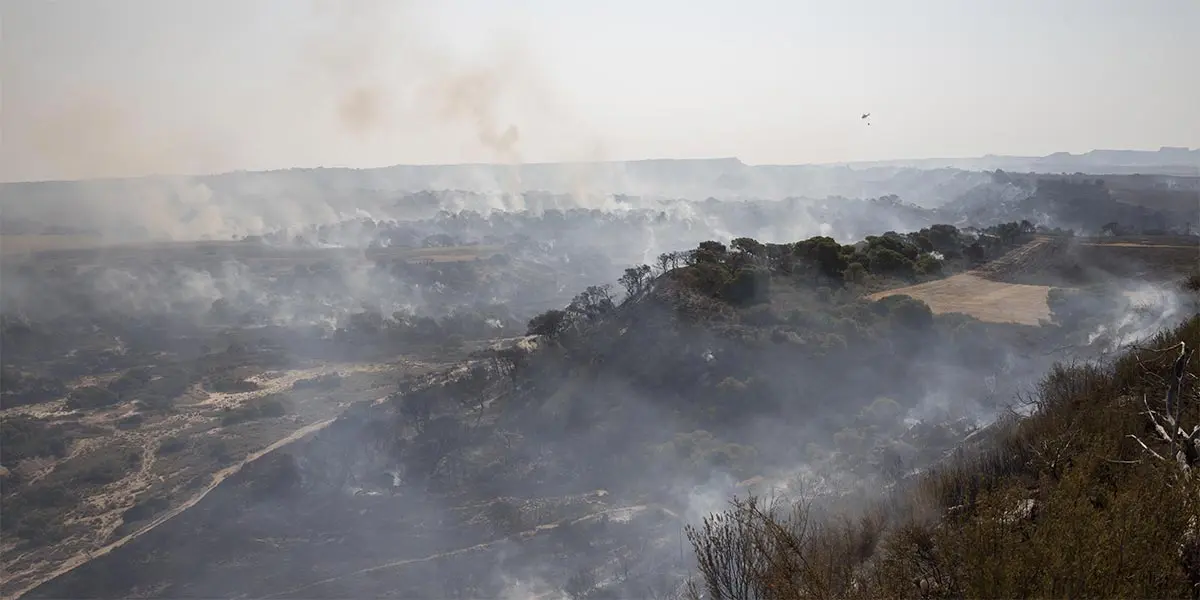El incendio ha destrozado completamente el espacio