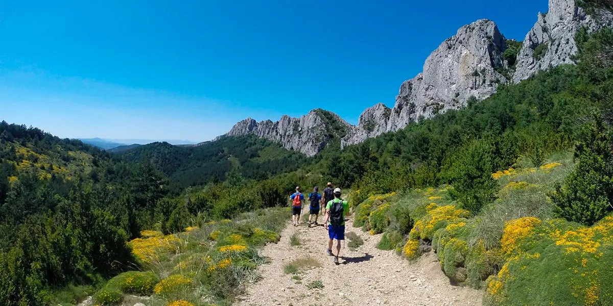 La Comarca de Cinco Villas cuenta con grandes recursos tur&iacute;sticos como la Sierra de Santo Domingo, declarada Espacio Natural Protegido