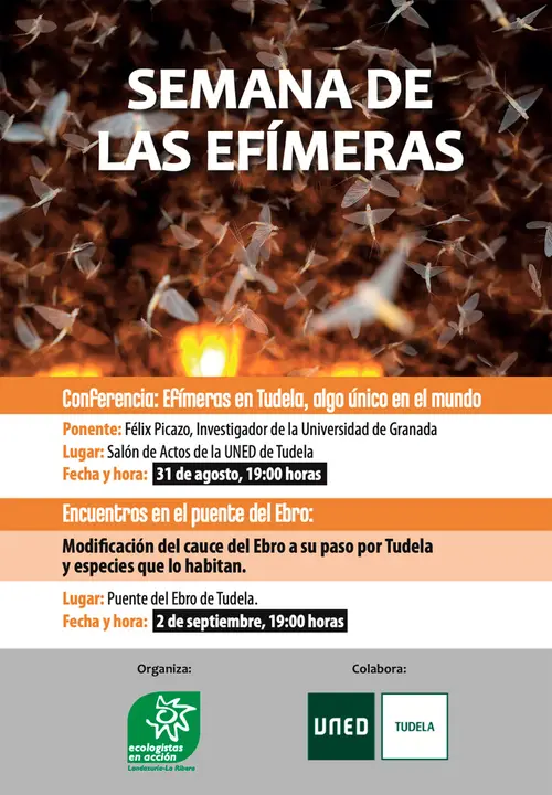 Semana de las ef&iacute;meras en Tudela