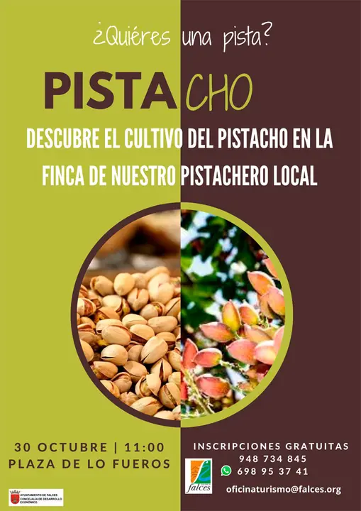 Visita a un pistachero local de Falces