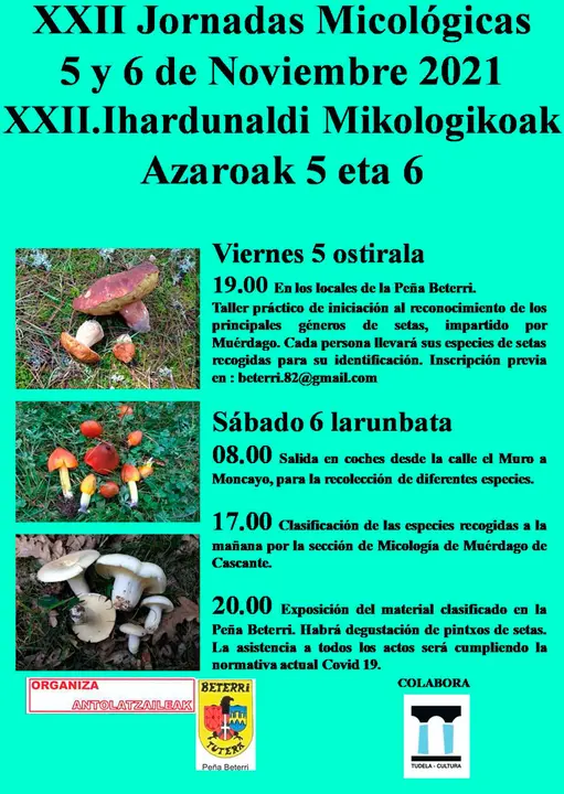 XXII Jornadas micol&oacute;gicas en Tudela de la Pe&ntilde;a Beterri