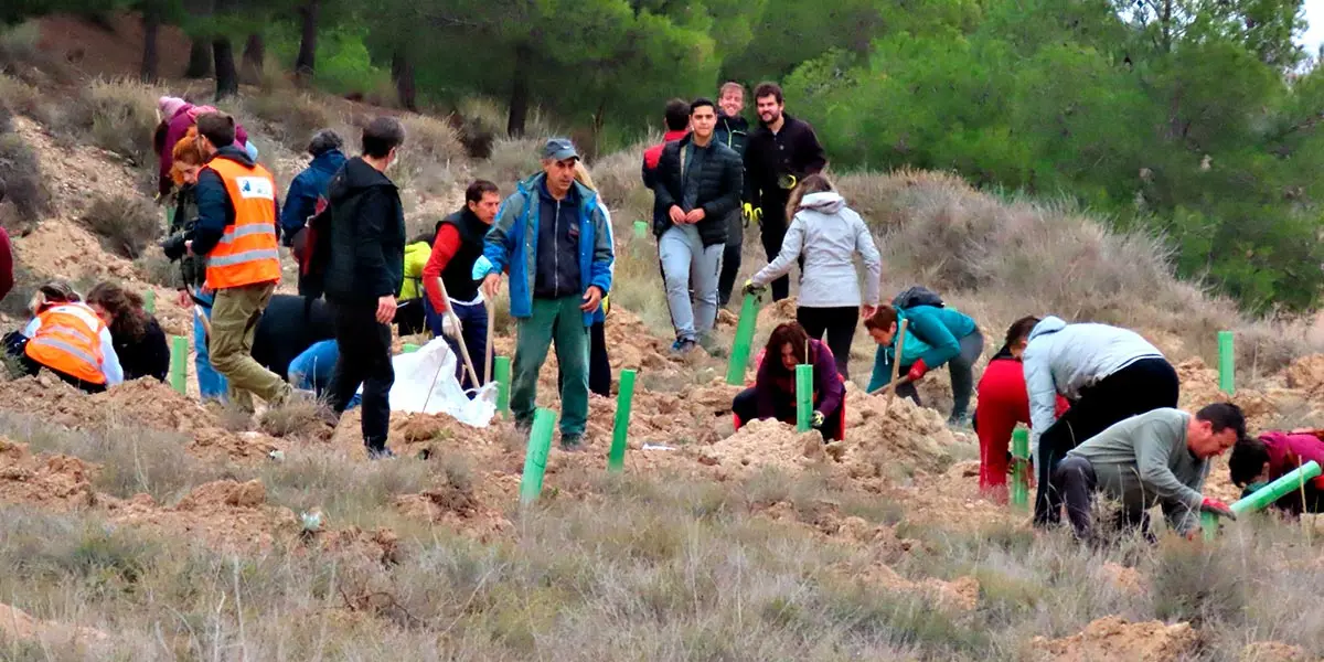 Entorno Sonoro 2021 en Cascante 03