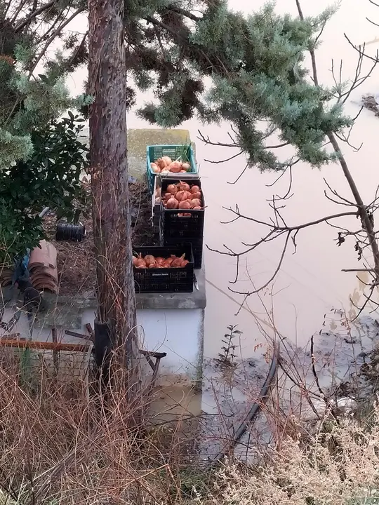 Inundaciones en Fusti&ntilde;ana 3