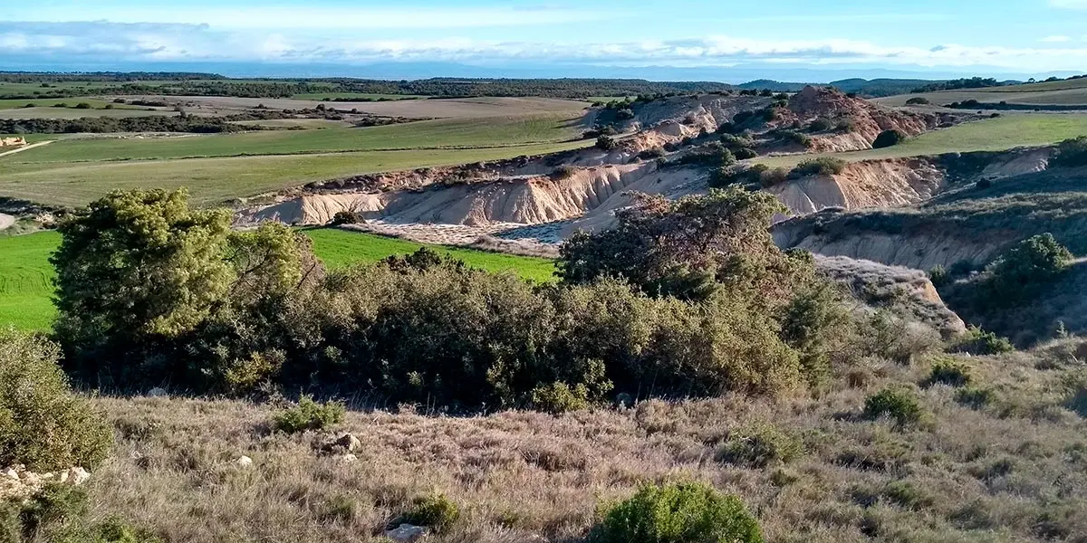 Bardenas LifeFarming Paisaje de bardenas (ca&iacute;das de la negra)
