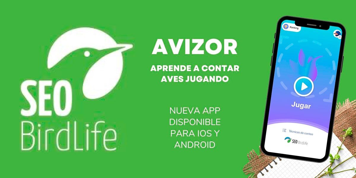 Hay varias estrategias para hacer estimas de forma correcta que ahora los aficionados a las aves pueden practicar con esta nueva app llamada Avizor
